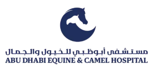 Advanced flower chiller for long-lasting flower freshness