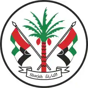 High-quality flower chiller for florist shop refrigeration