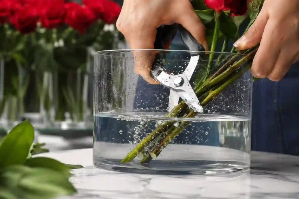 Extend the shelf life of cut flowers in UAE heat with proper cooling, hydration, and modern flower chiller storage solutions for fresh blooms.