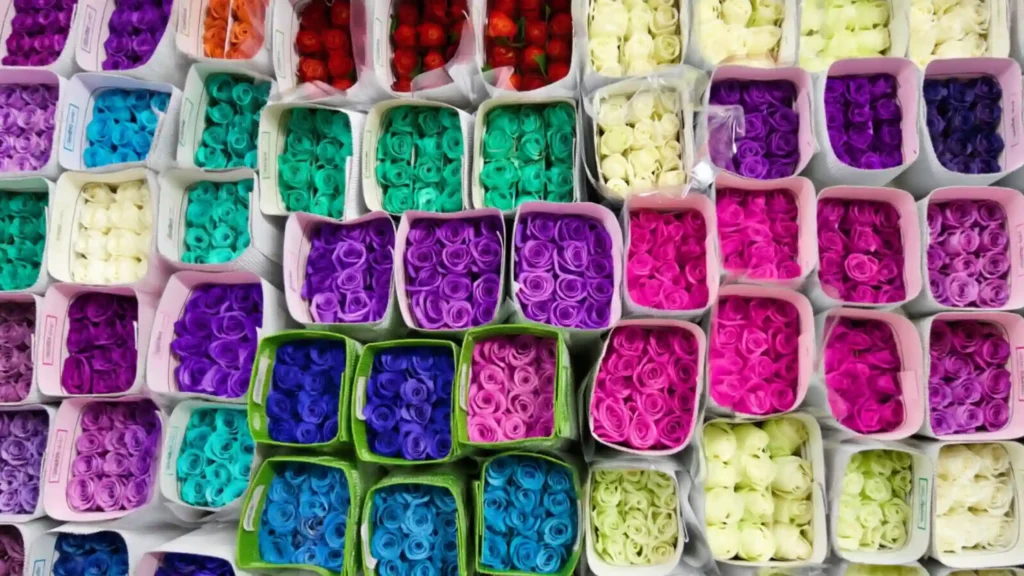 Flower cold storage guide showing fresh flowers stored in a professional floral cold room