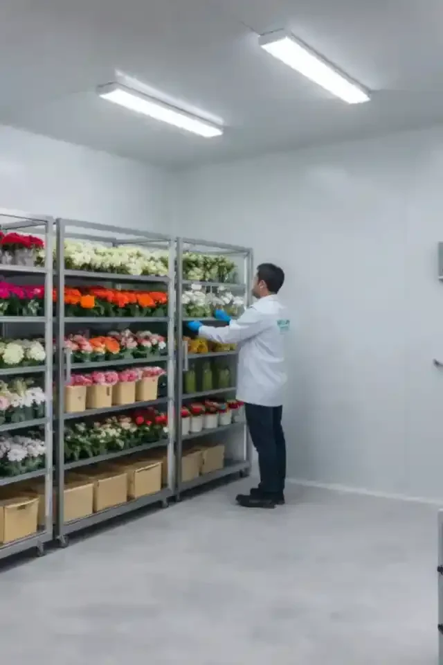 Best Walk In flower Chiller in UAE