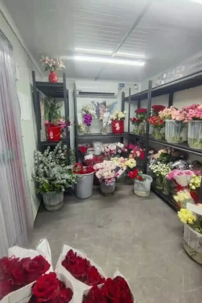 Flower chiller in Dubai